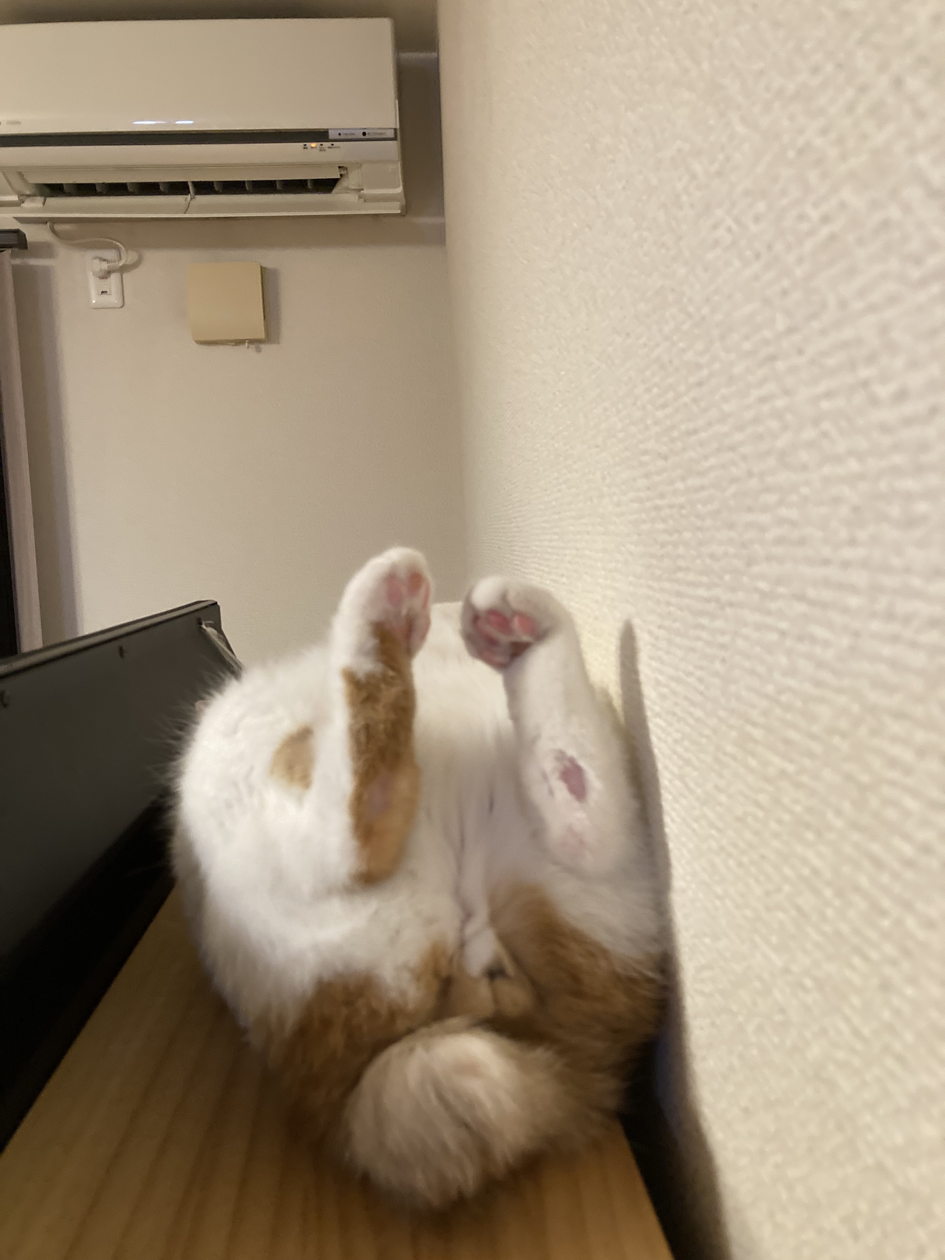 image032kr2.jpg
