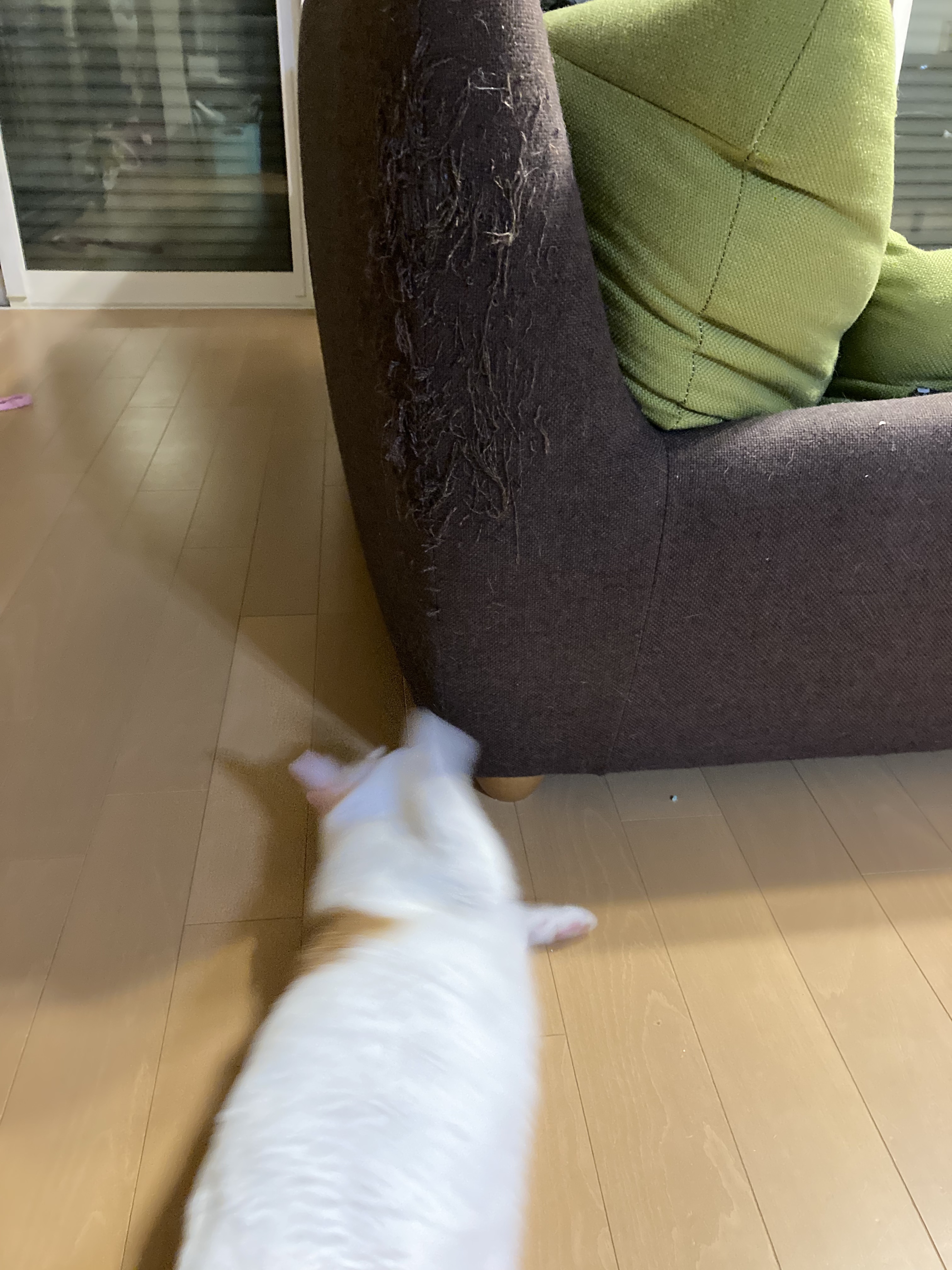 image0higai4.jpg