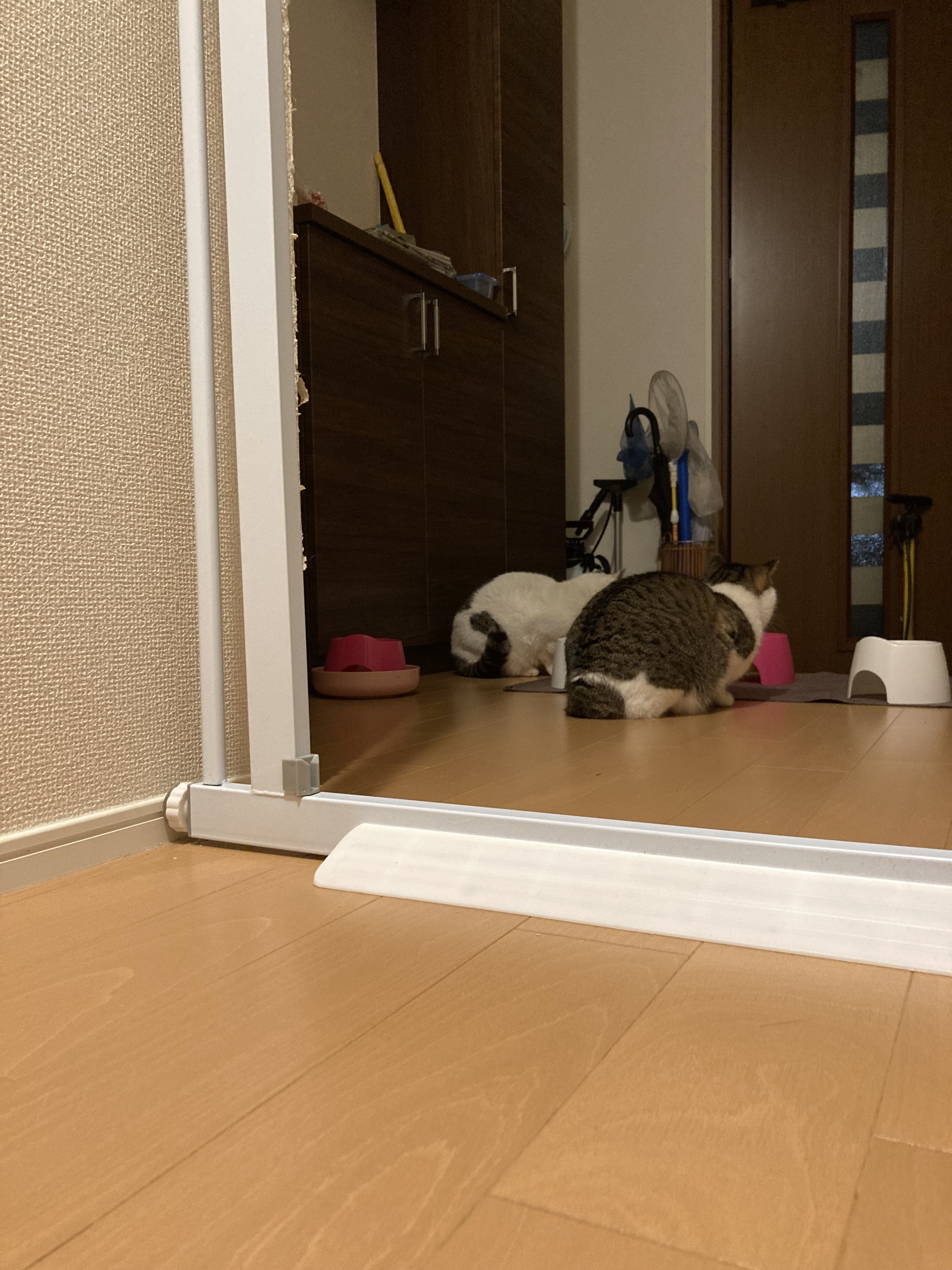 image0ichi-ni3.jpg