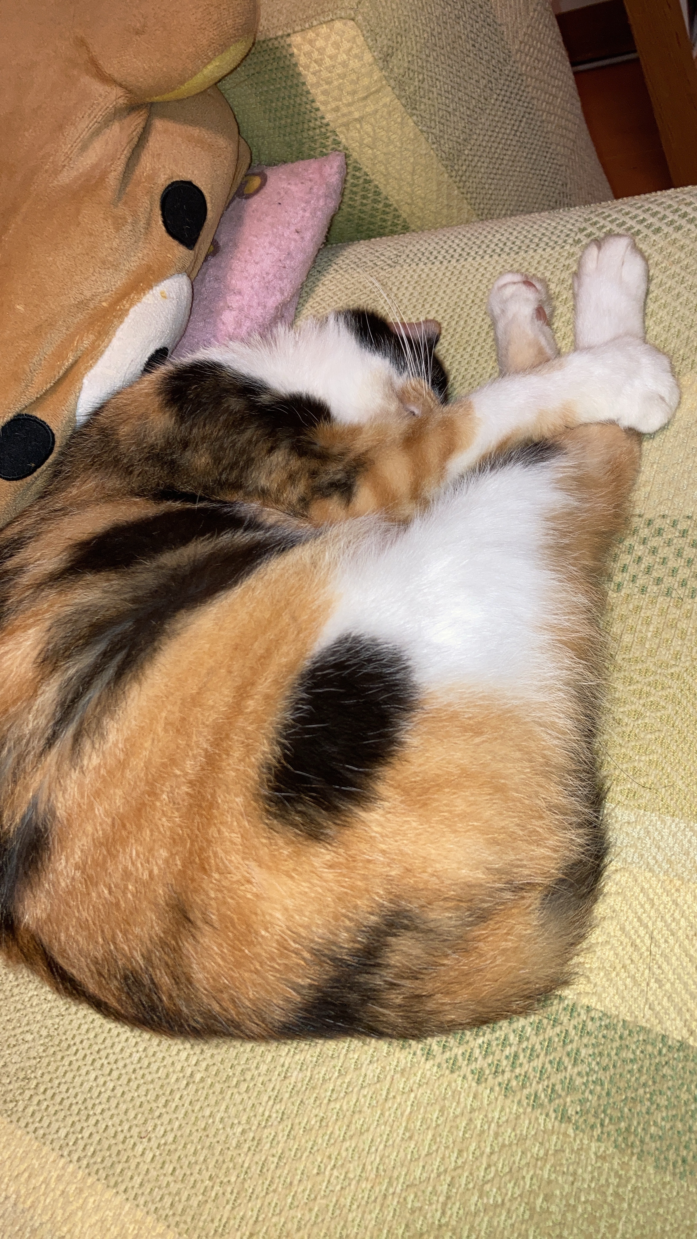 image0kouhai3.jpg
