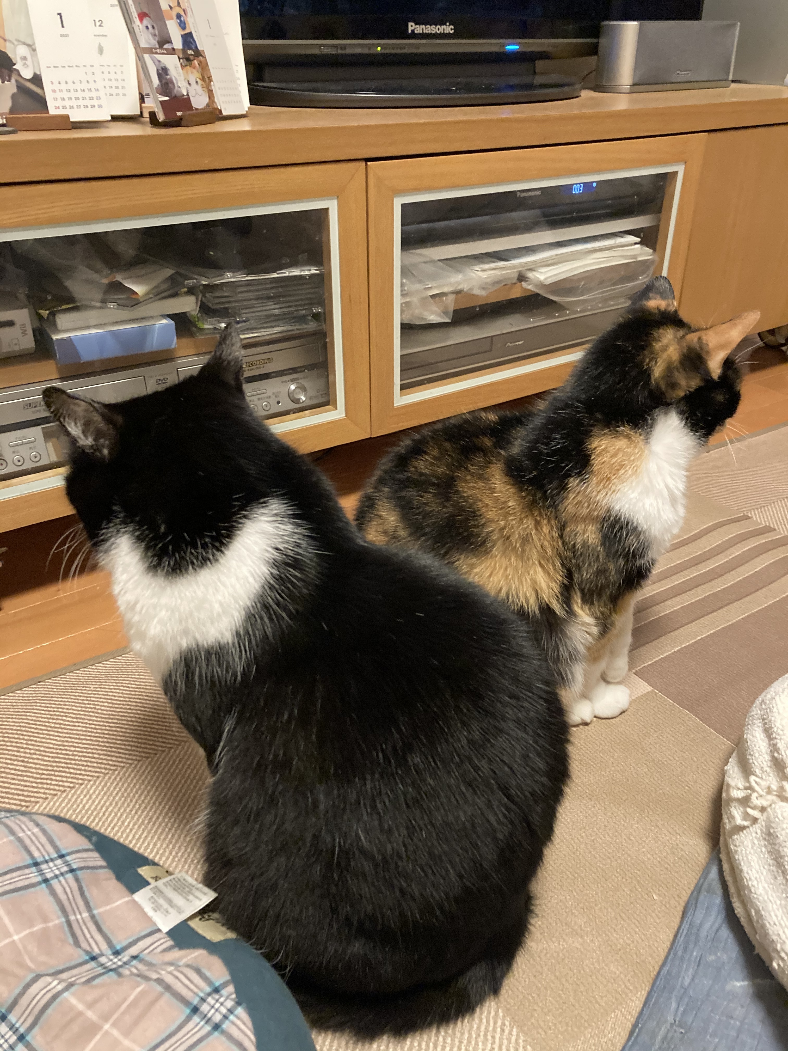 image0ma-ami.jpg