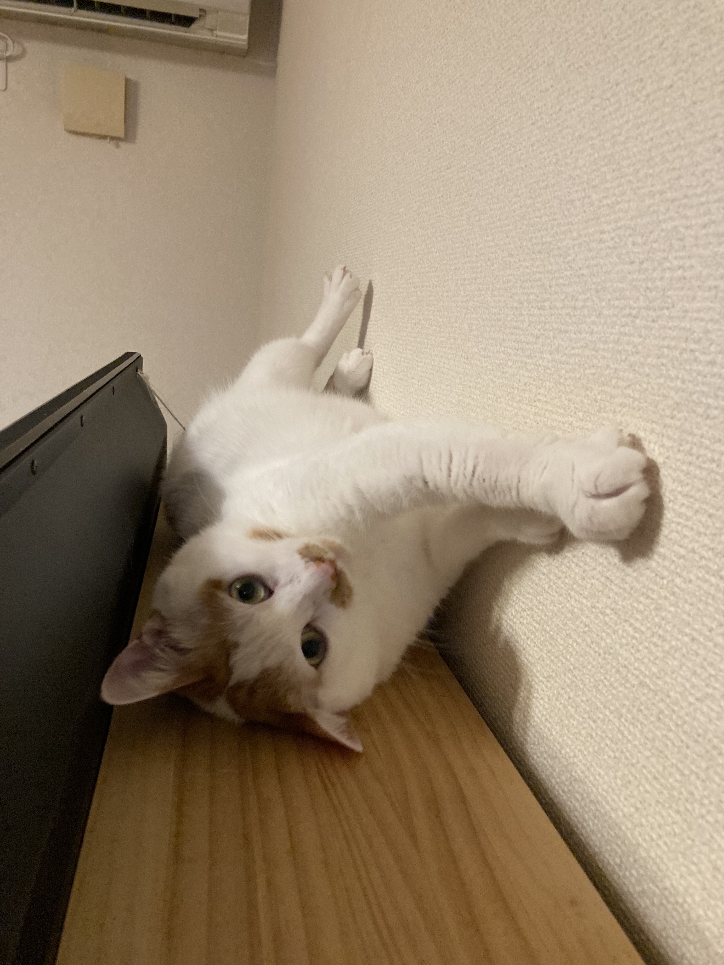 image0mi2keru.jpg