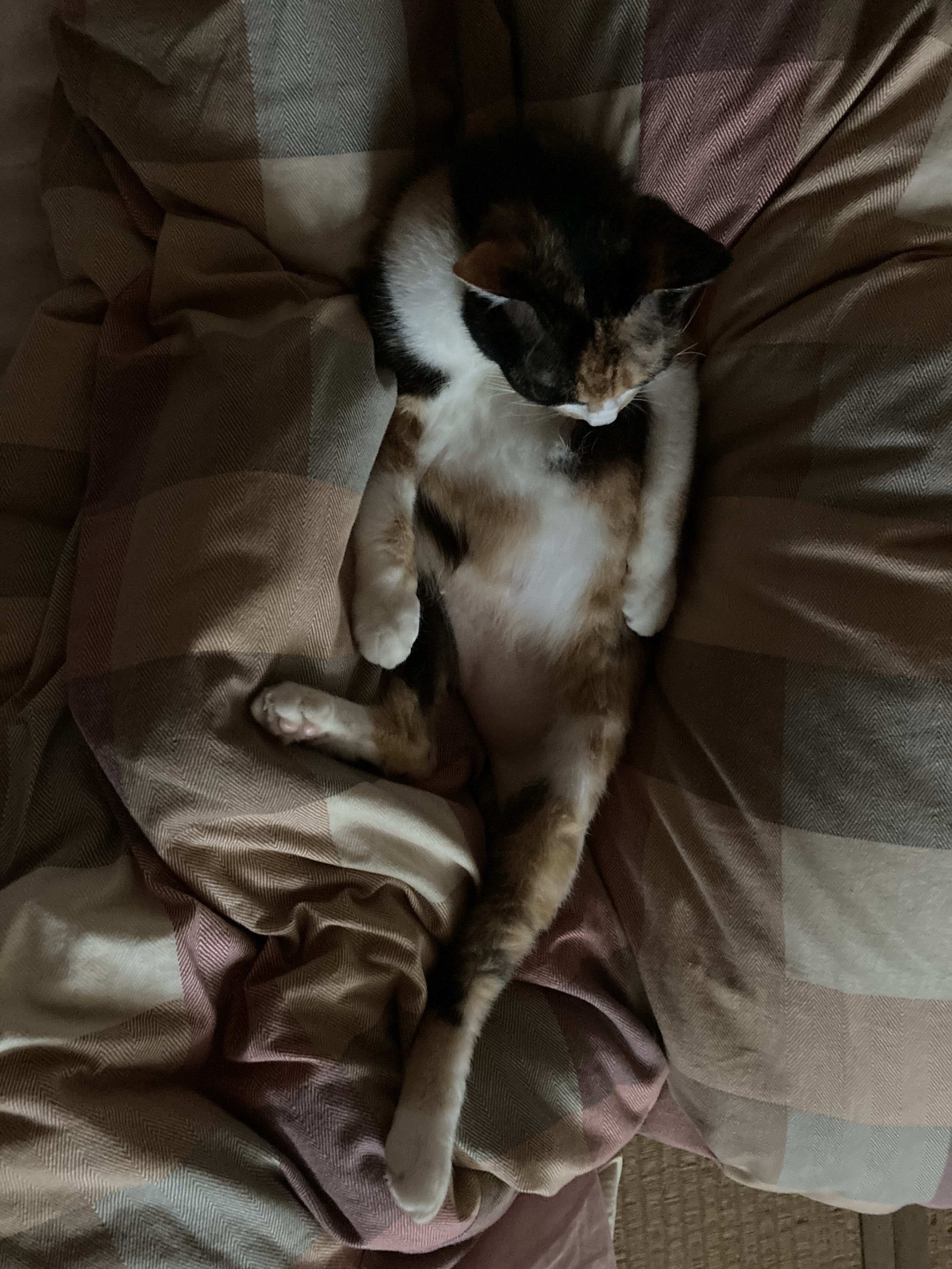 image0mia2.jpg