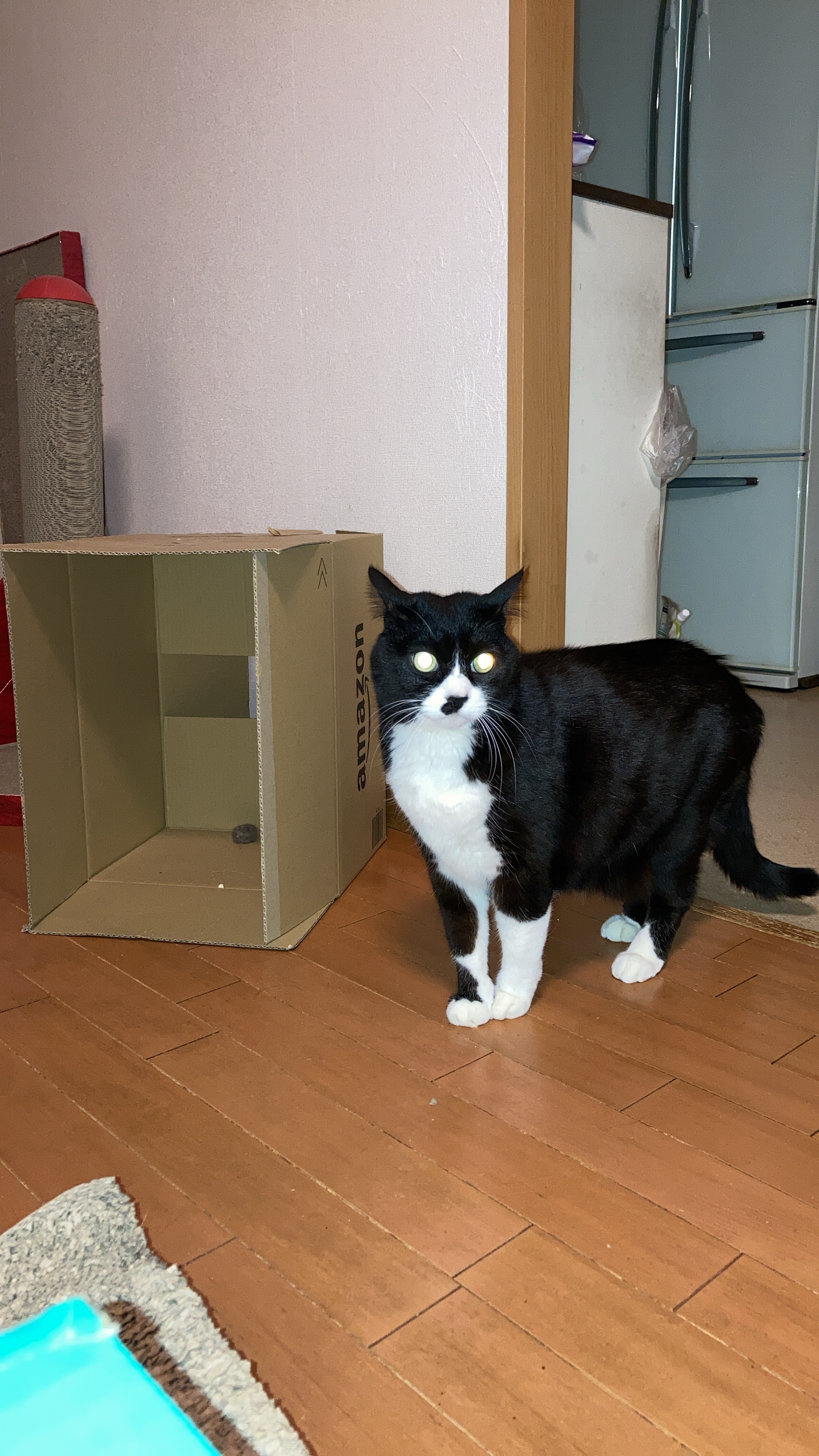 image0yuraaaaaaaaa.jpg