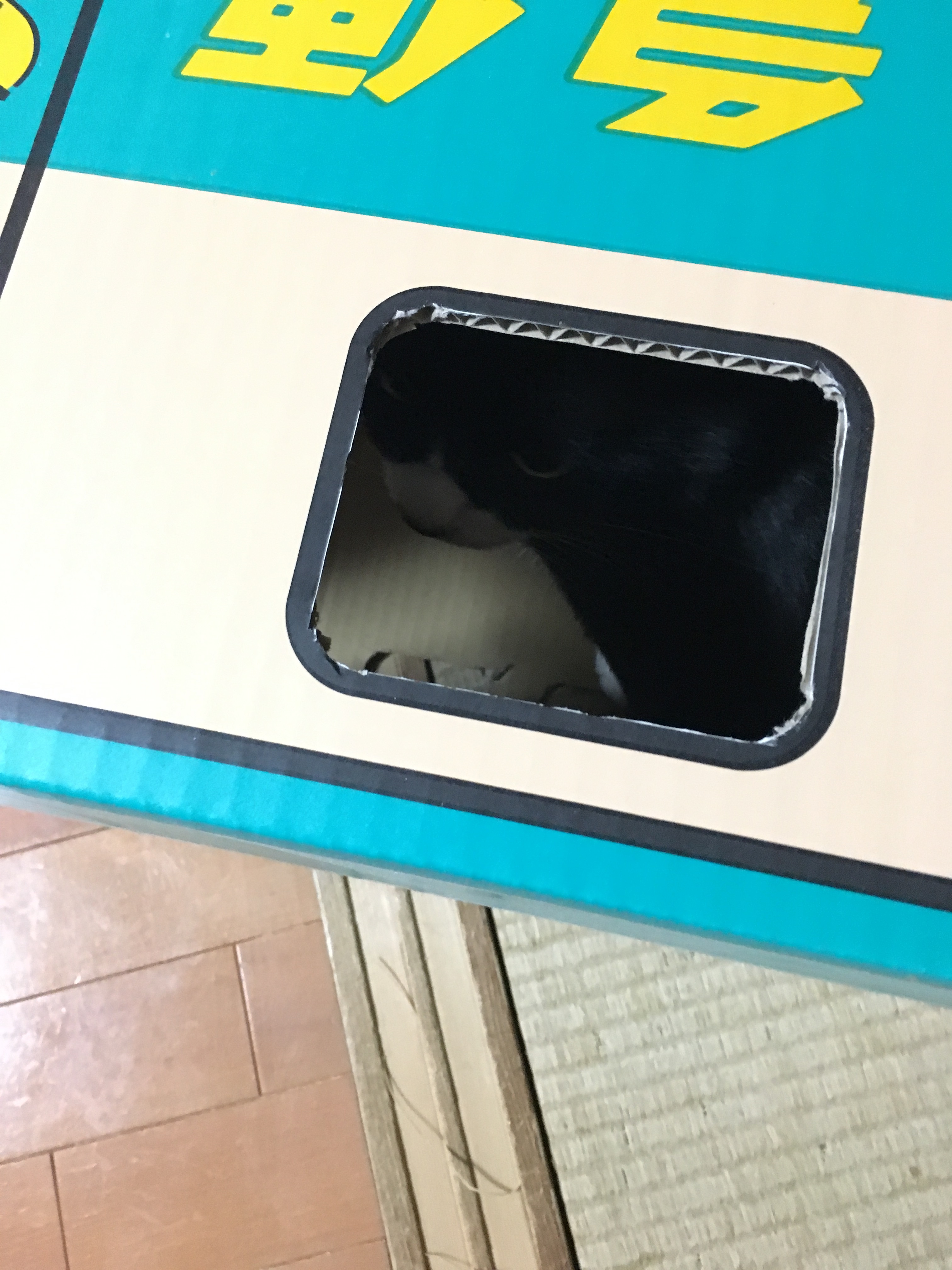 image121114gfvfg.jpg