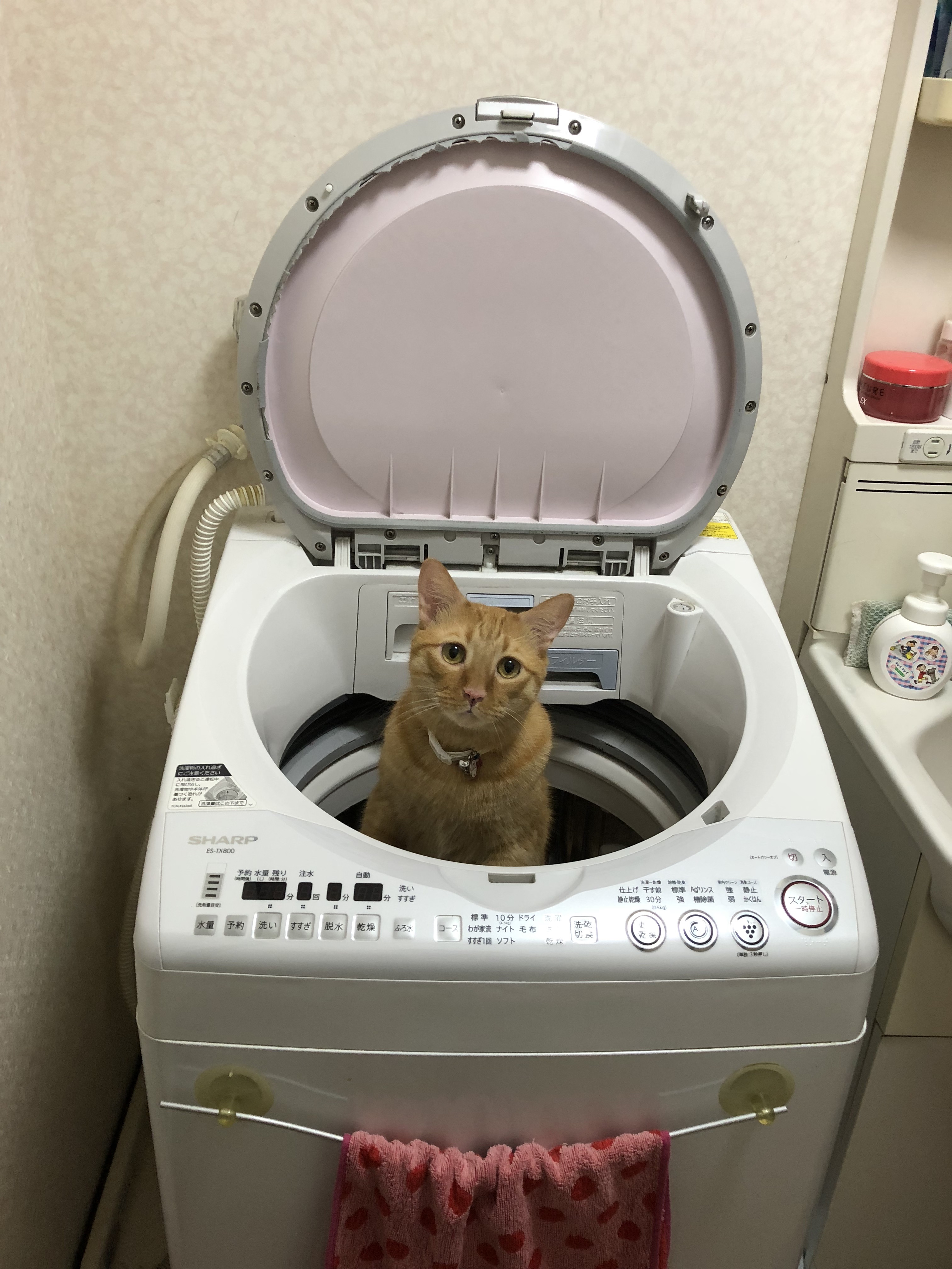image133325253.jpg