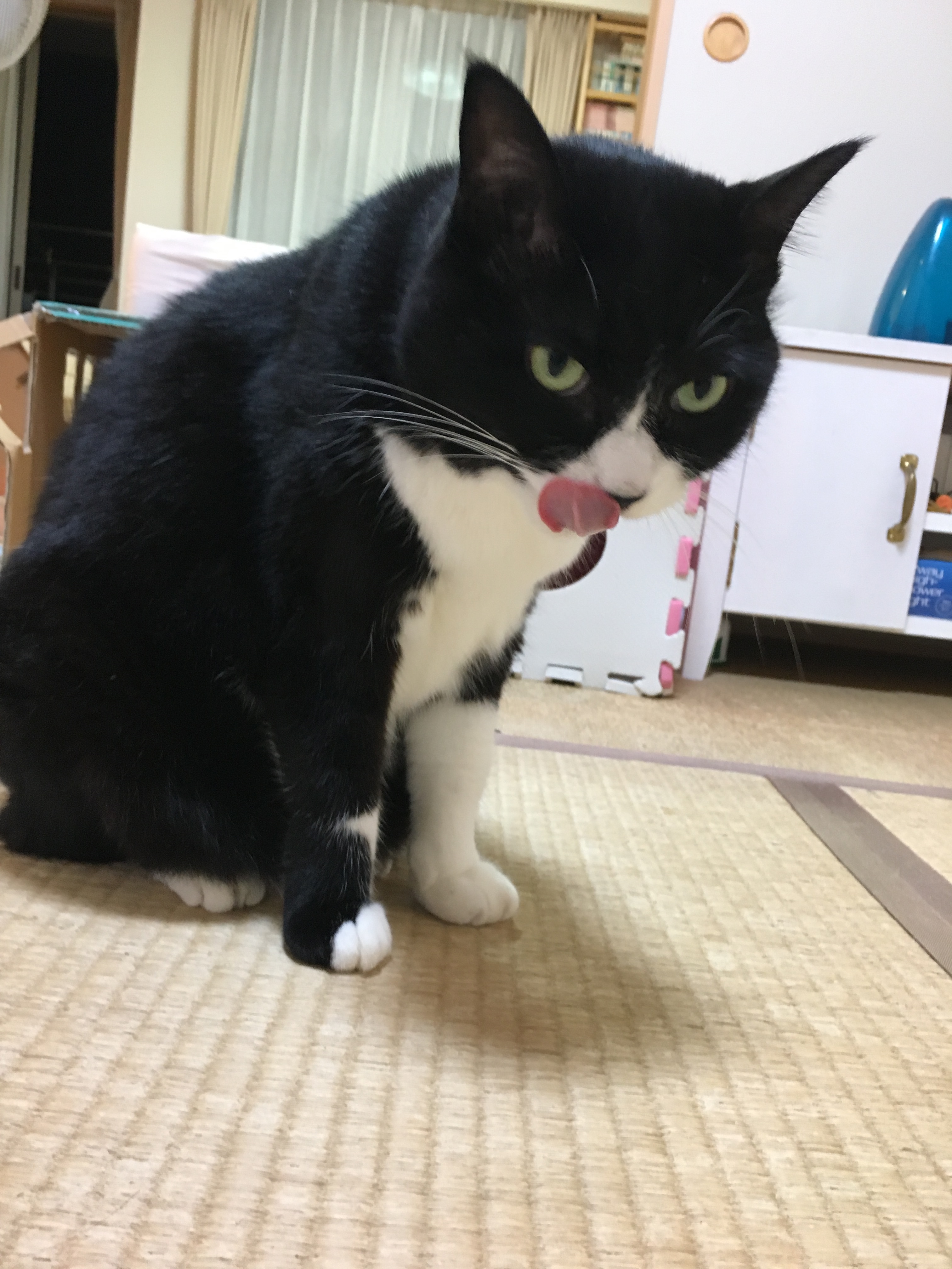 image16658tewgrfwdea.jpg