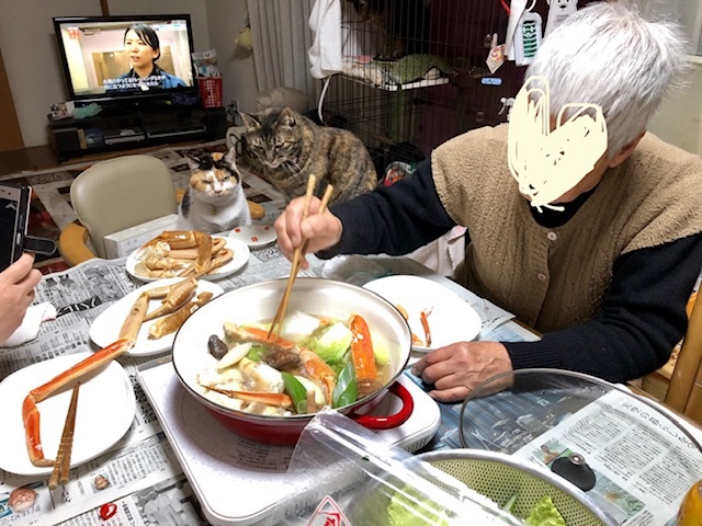imajj555555ge1.jpg