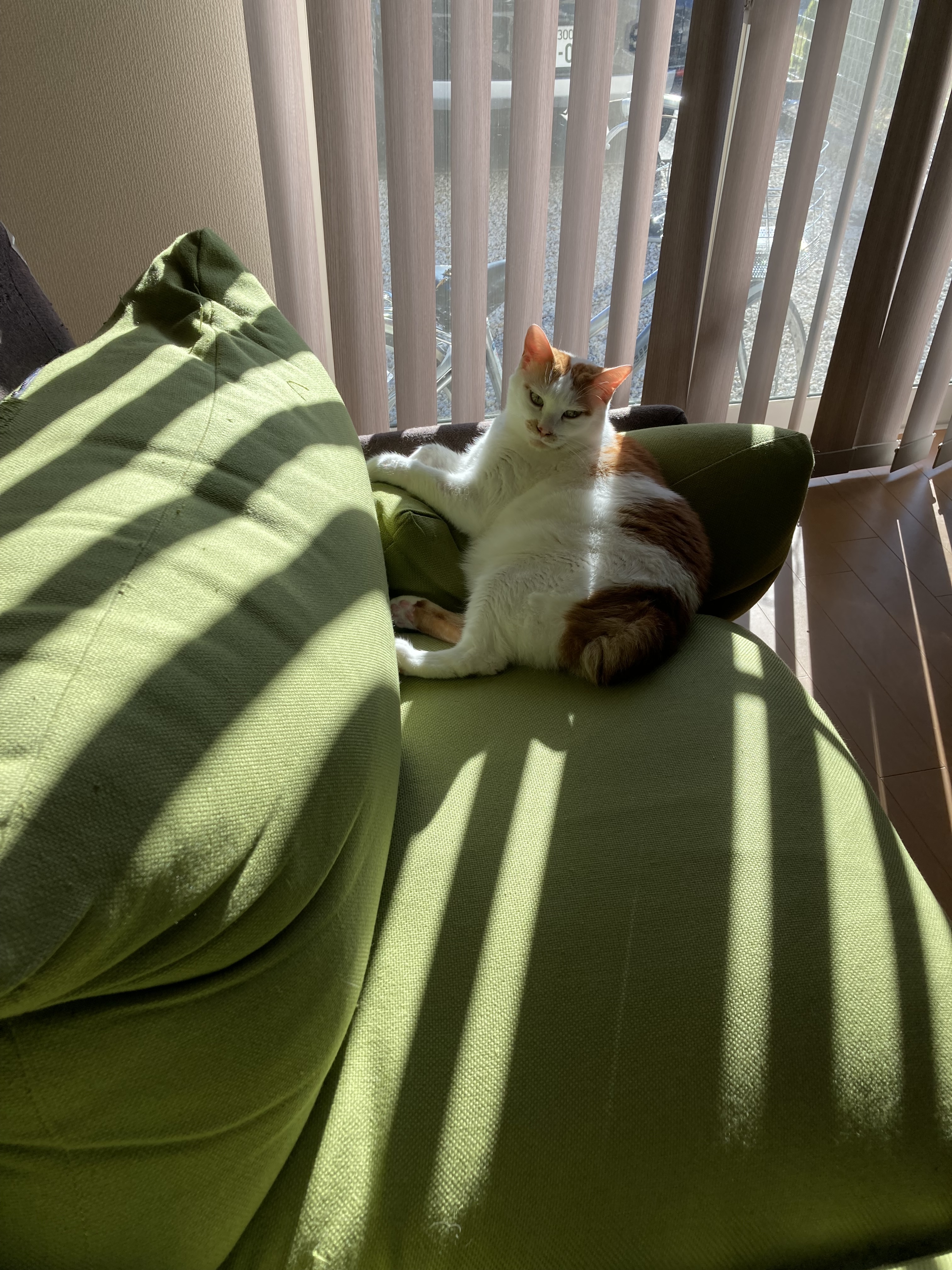 miru.jpg