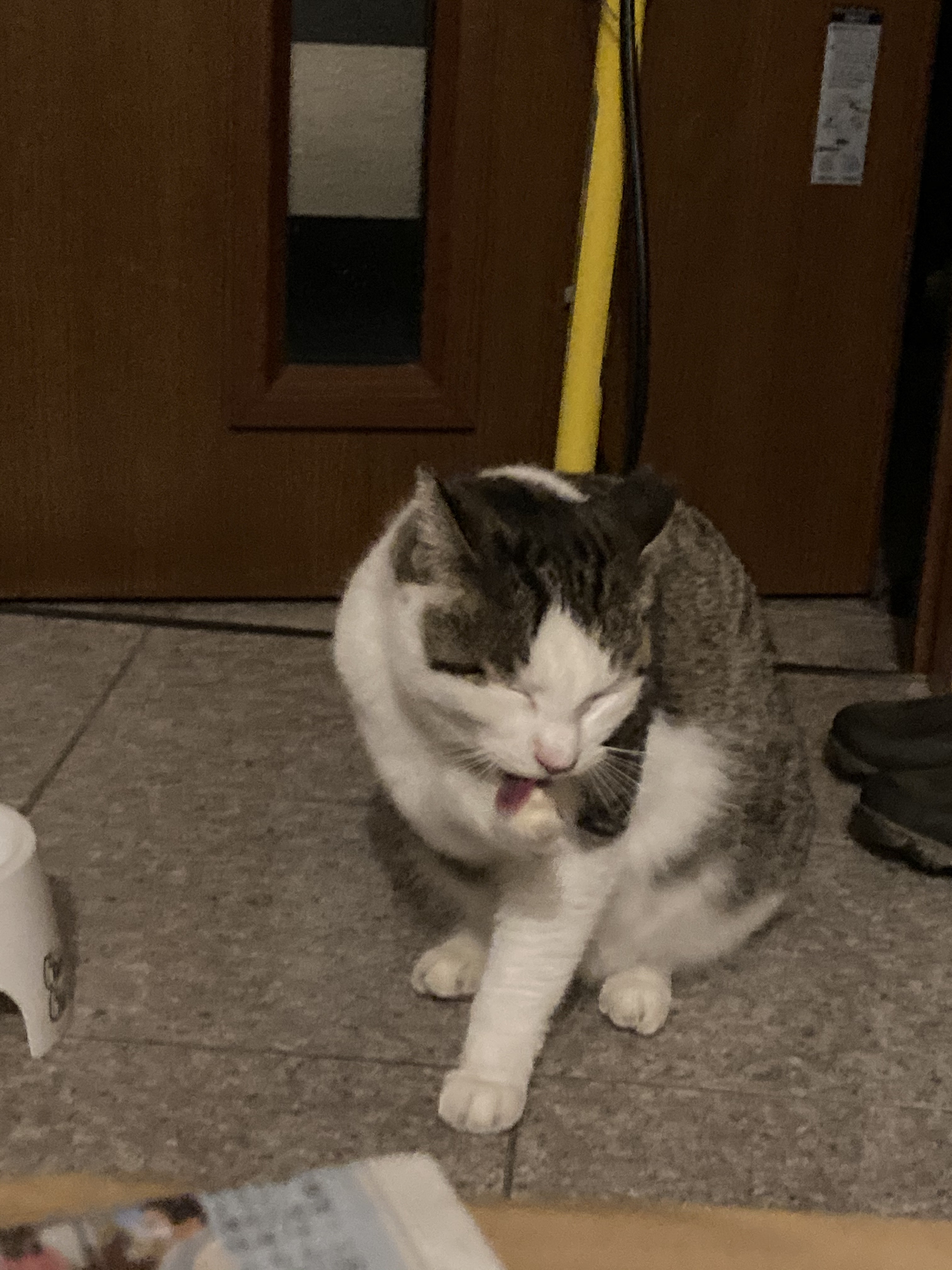 niiiii.jpg