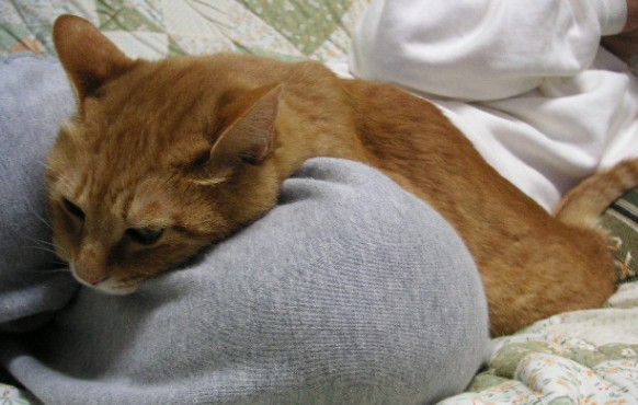 sleepsuzu.jpg