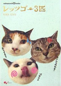 51eoTWm97RL__SL500_AA300_.jpg